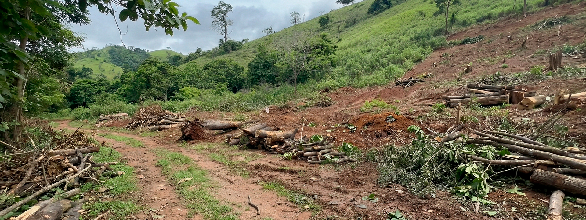 “Qual é o critério?”: Elias da Fonte contesta decisão do CODEMA em Ipatinga